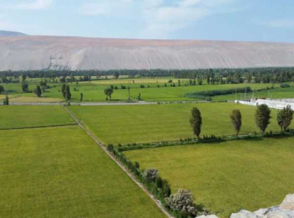 Agricultura en el valle de Tambo