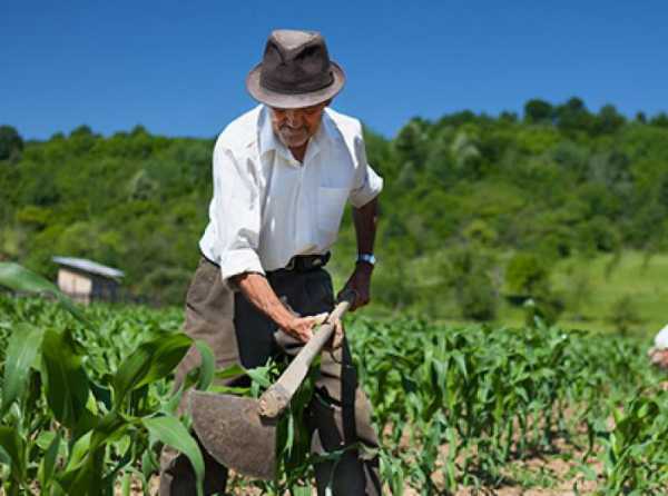 Ley de Promoción Agraria: si funciona, que continúe