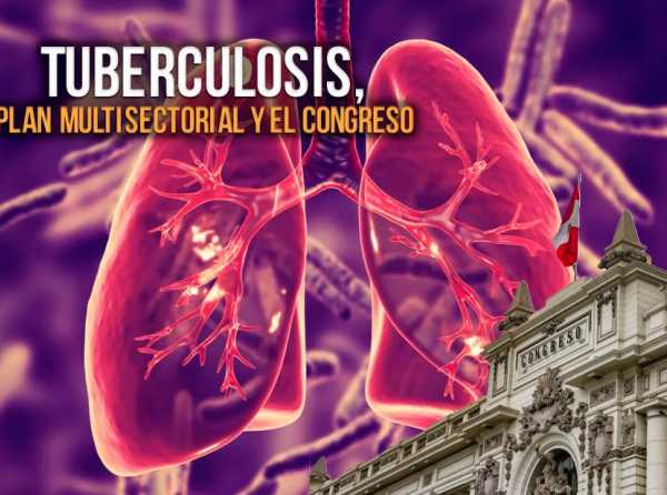 Tuberculosis, Plan Multisectorial y el Congreso