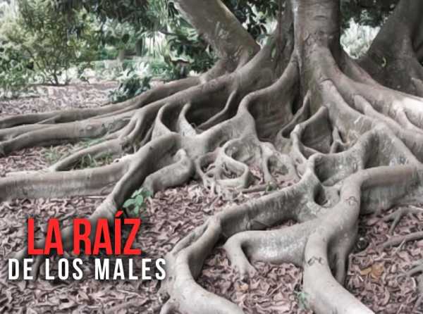 La raíz de los males