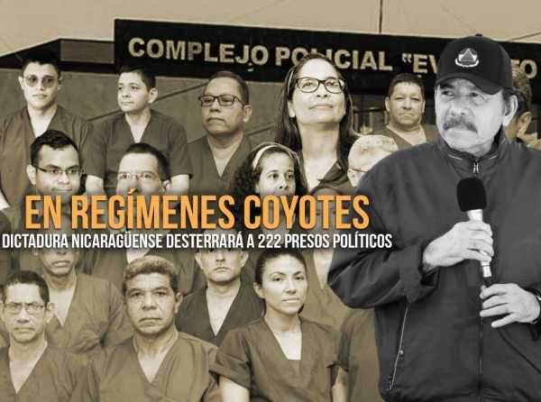 En regímenes coyotes