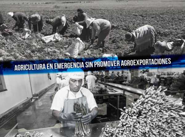 Agricultura en emergencia sin promover agroexportaciones