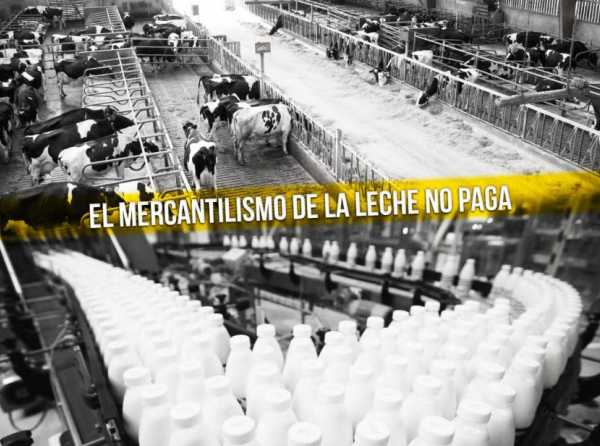 El mercantilismo de la leche no paga