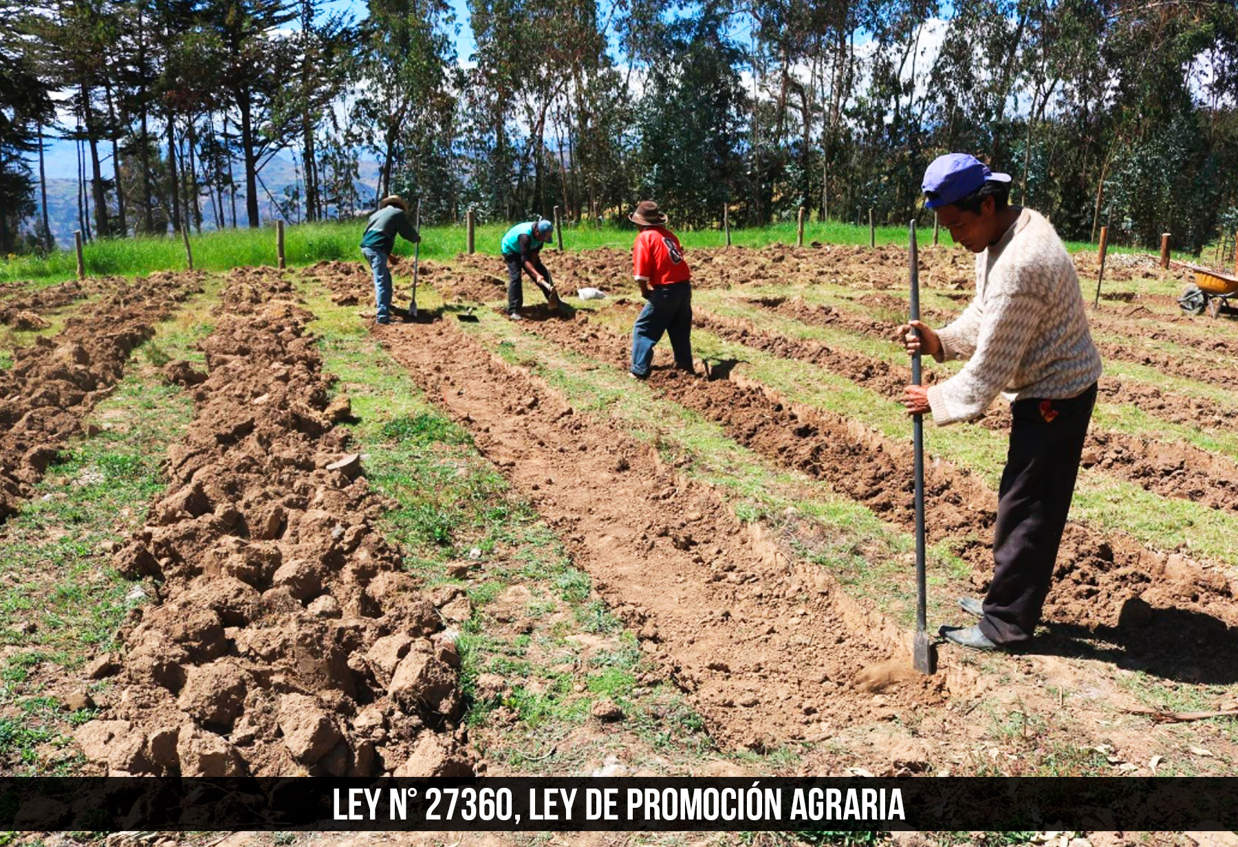 Ley de Promoción Agraria