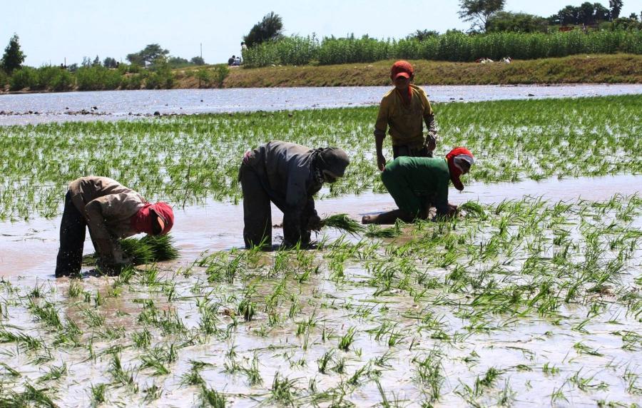 Agroexportación en rojo