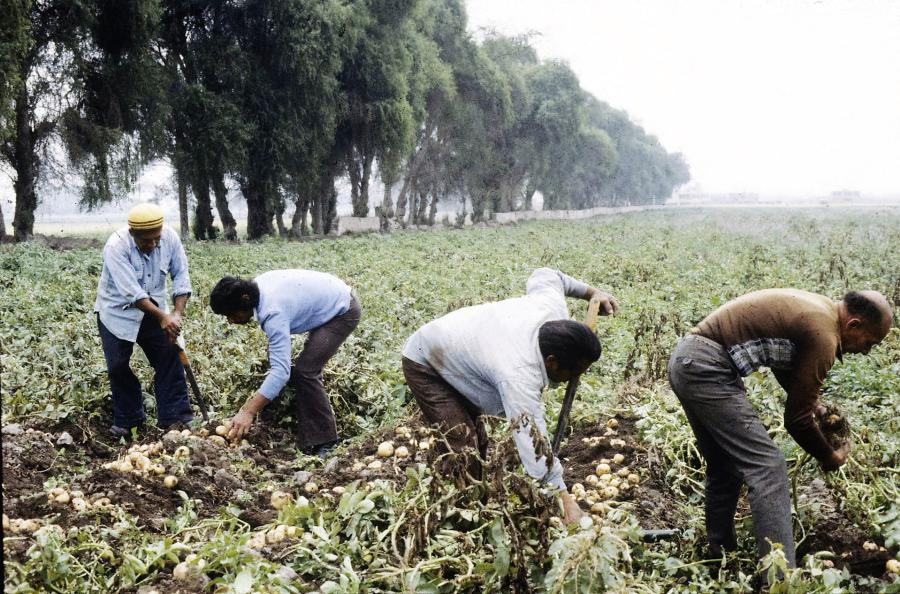 ¿Resucita el velasquismo agrario?