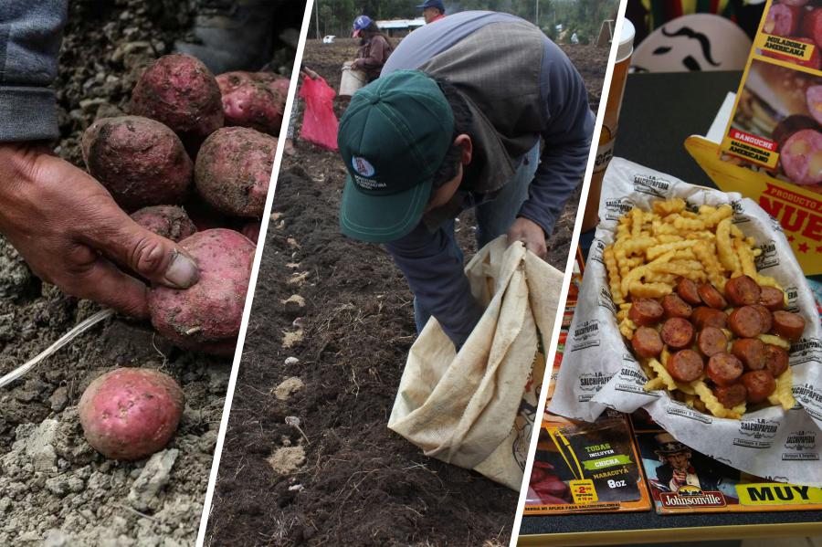 La papa, el sector agropecuario, la comida chatarra 