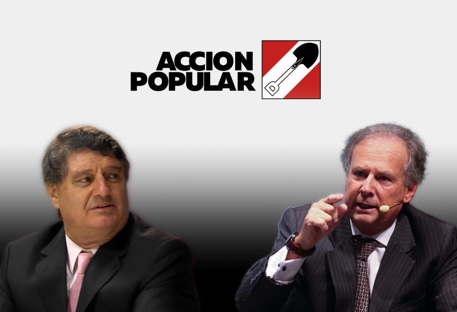 ¿Qué sucede en Acción Popular?