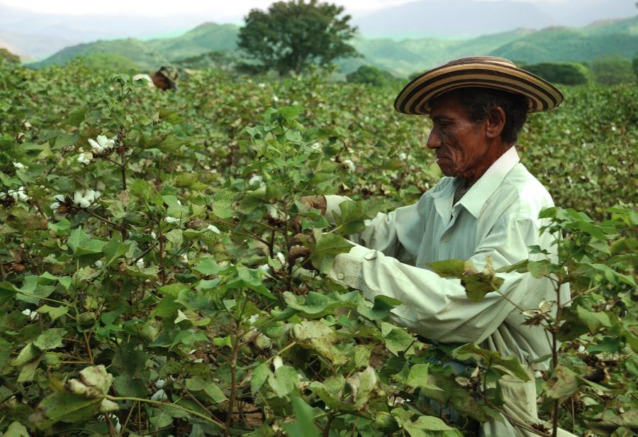 De Soto, los agricultores, la propiedad y La Convención