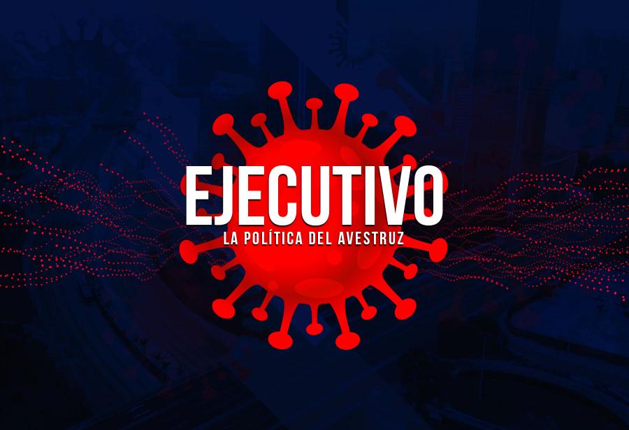 El Ejecutivo o la política del avestruz