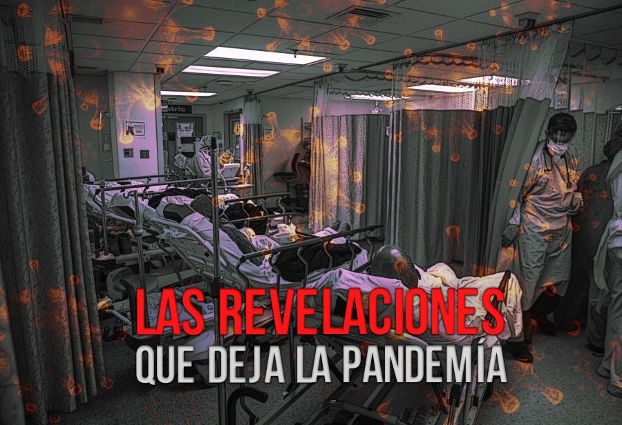 La pandemia daña y mata, pero también revela