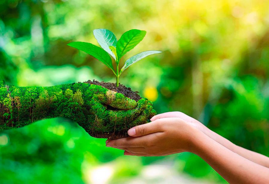 Día Mundial del Ambiente