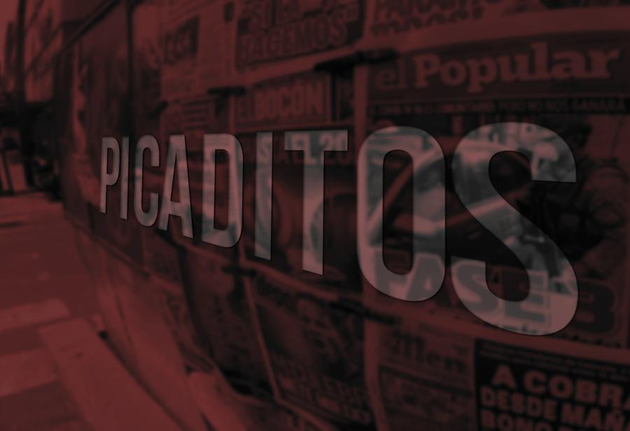 Picaditos