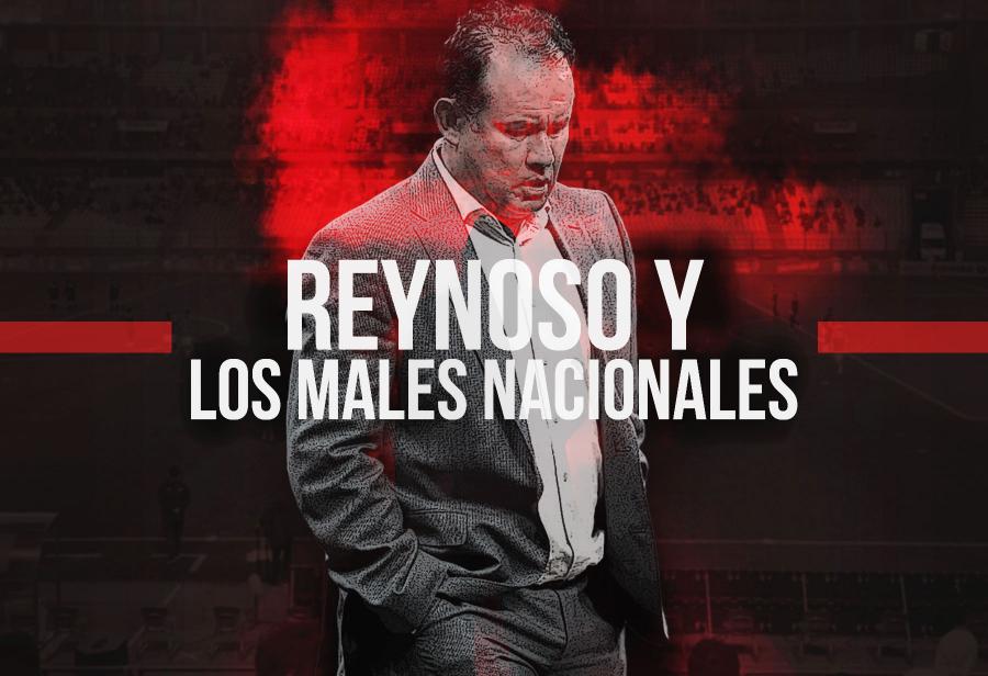 Reynoso y los males nacionales