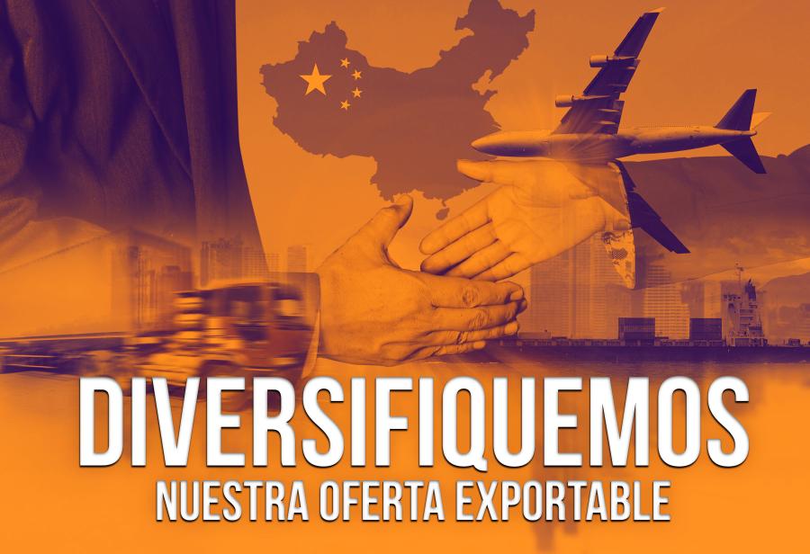 Diversifiquemos nuestra oferta exportable