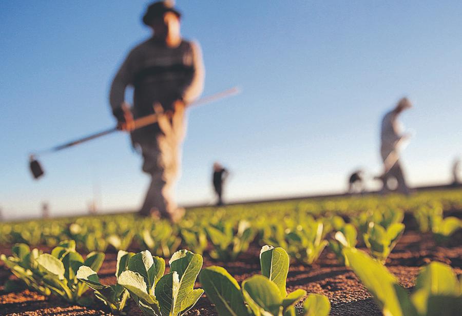 Sector agrario imparable pese a todo