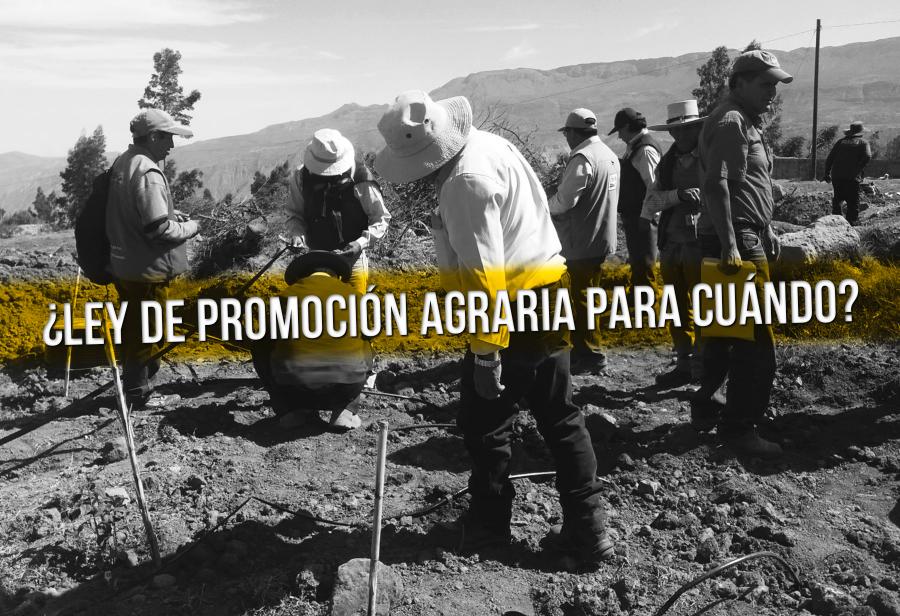 ¿Cuándo se promulga la Ley de Promoción Agraria?