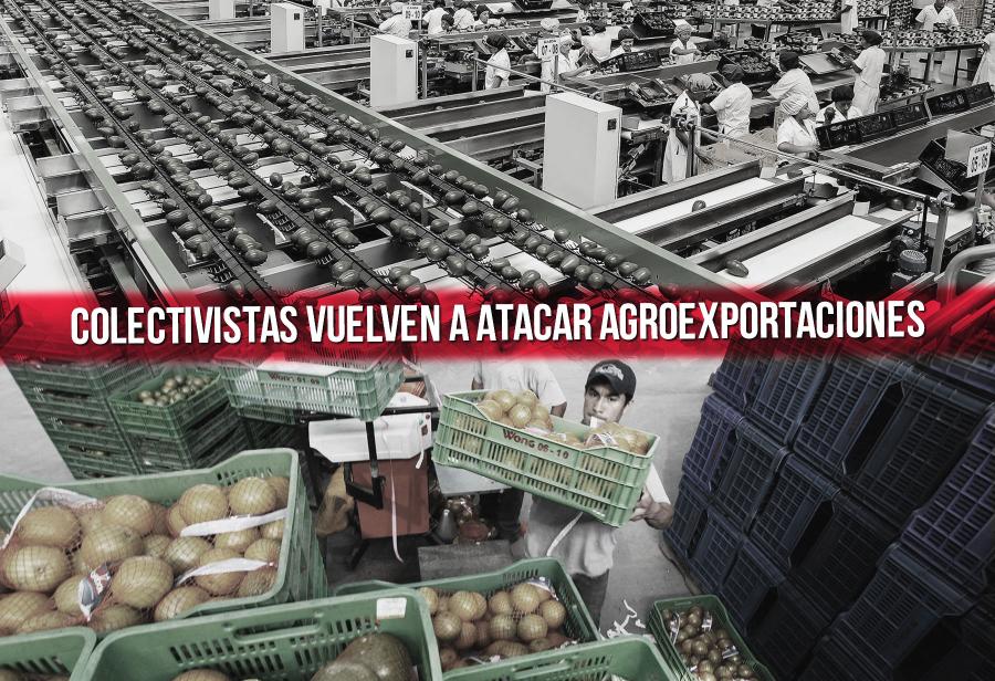 Colectivistas vuelven a atacar agroexportaciones