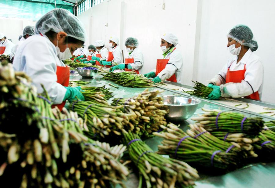 La exportación agropecuaria viento en popa