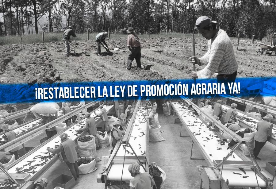 ¡Restablecer la Ley de Promoción Agraria ya!