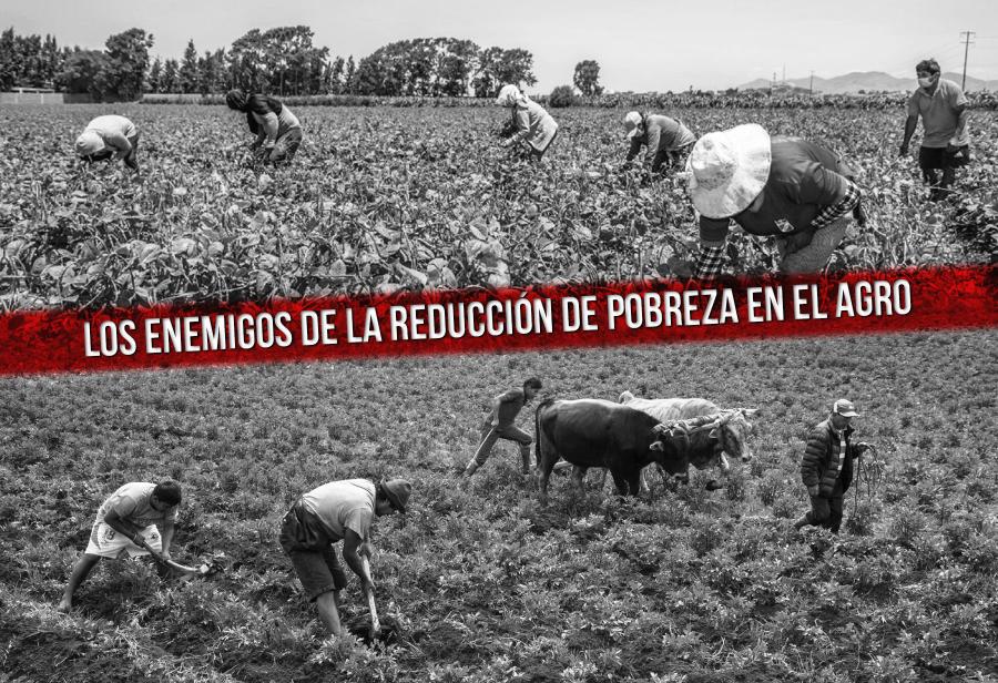 Los enemigos de la reducción de pobreza en el agro