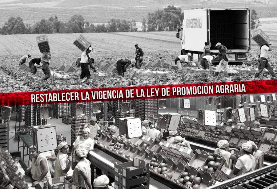 ¿Por qué el Congreso teme restablecer la vigencia de la Ley de Promoción Agraria?