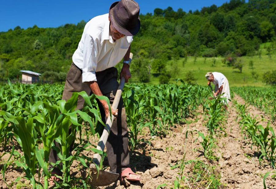 ¡Agro necesita estabilidad por 30 años! 