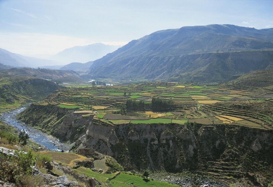 La minería sí mejora el medio ambiente