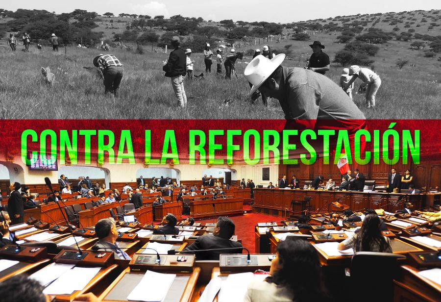 Izquierda en contra de la reforestación