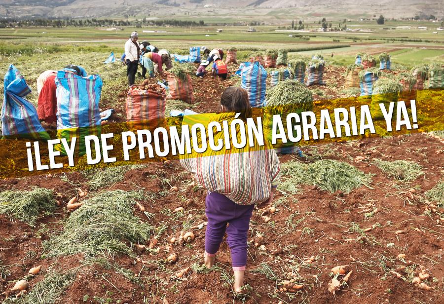 ¡Ampliar vigencia de Ley de Promoción Agraria!