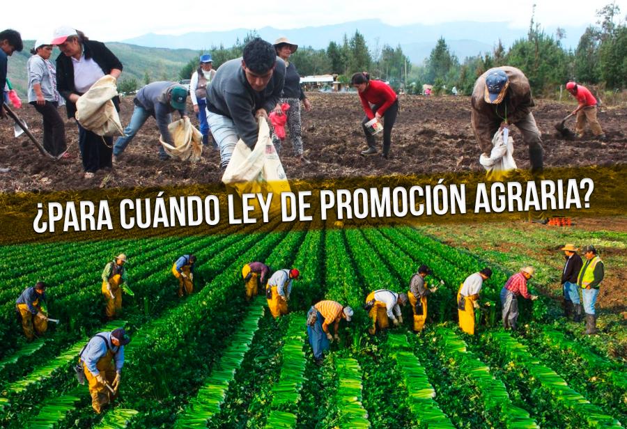 Es hora de promulgar Ley de Promoción Agraria 