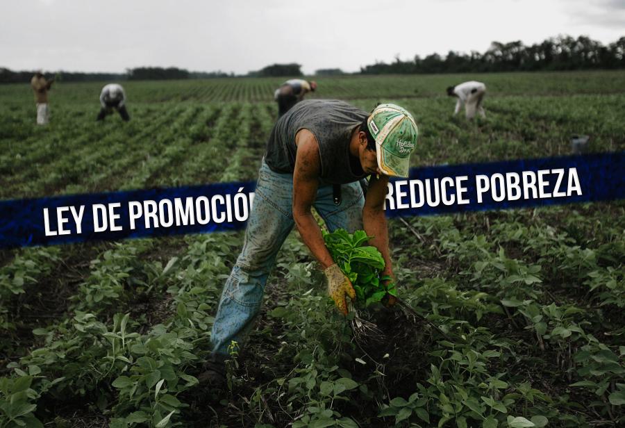 Ley de Promoción Agraria reduce pobreza