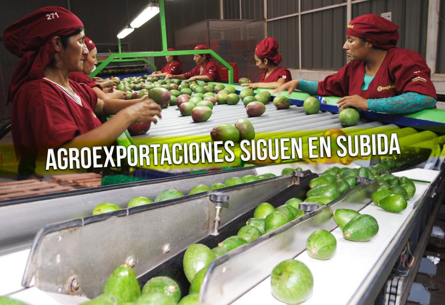 Agroexportaciones siguen en subida