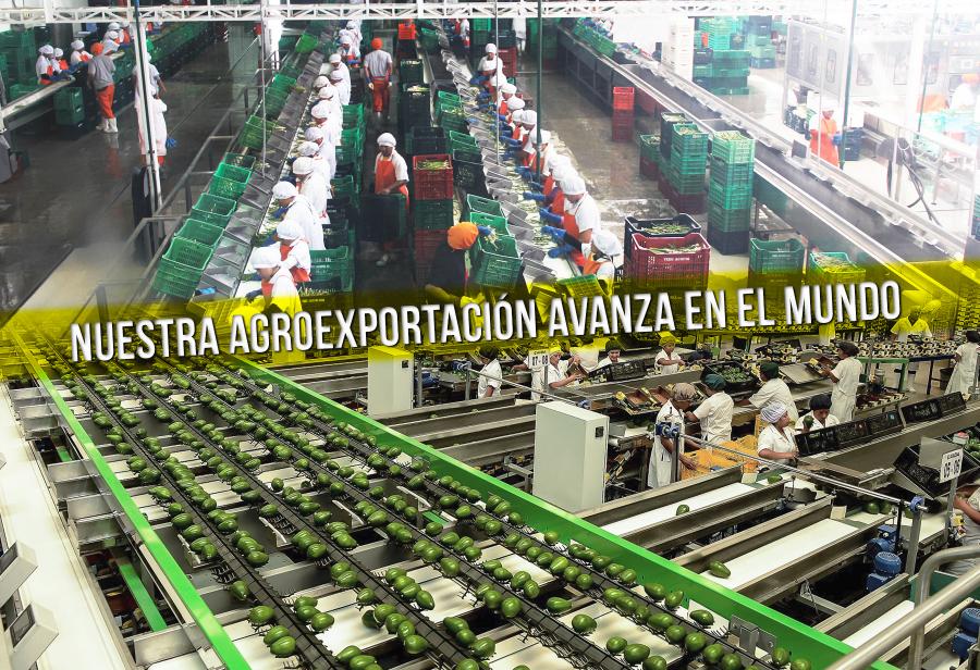 Nuestra agroexportación avanza en el mundo