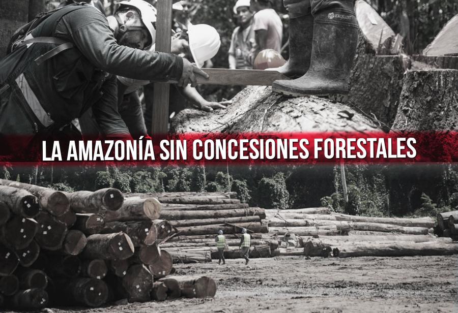 La Amazonía sin concesiones forestales