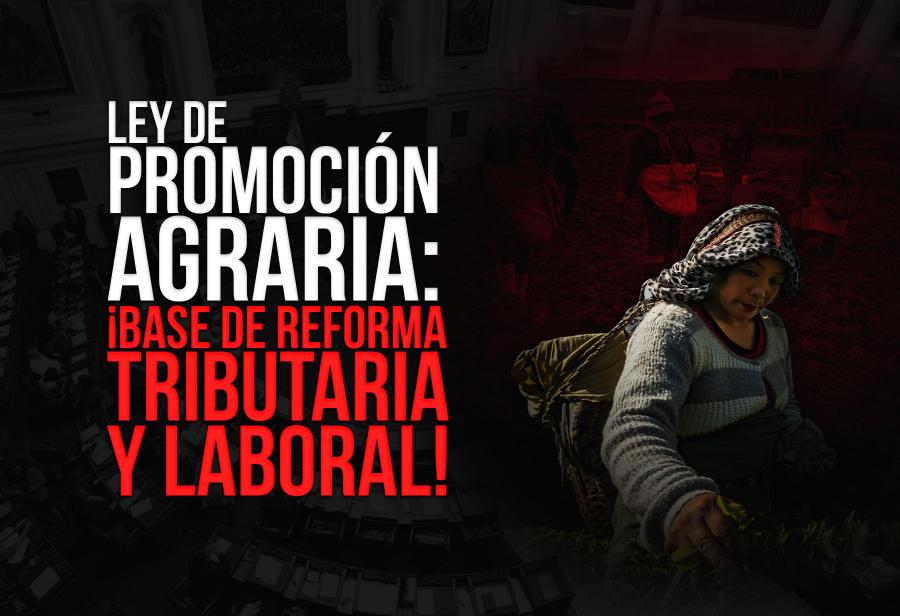 Ley de Promoción Agraria: ¡base de reforma tributaria y laboral!