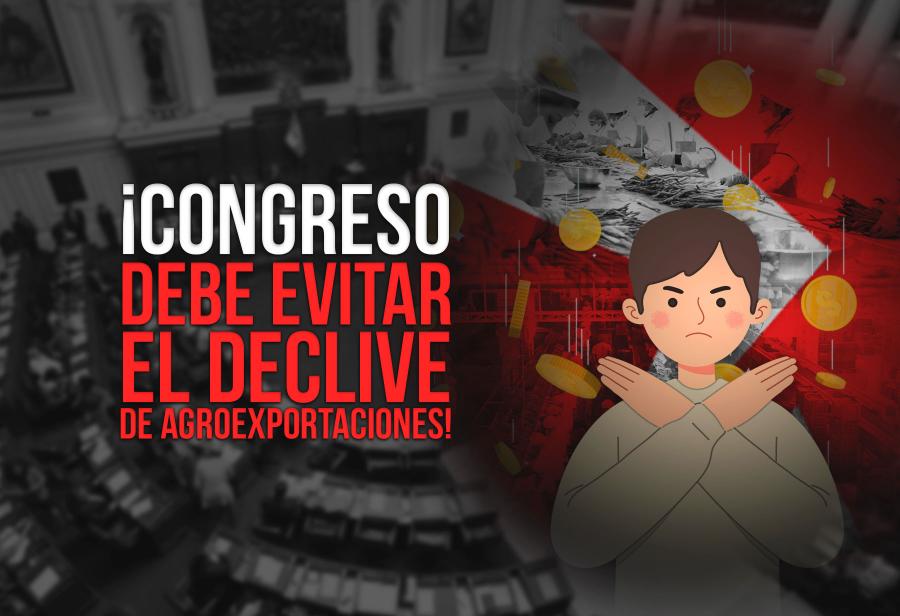 ¡Congreso debe evitar el declive de agroexportaciones!