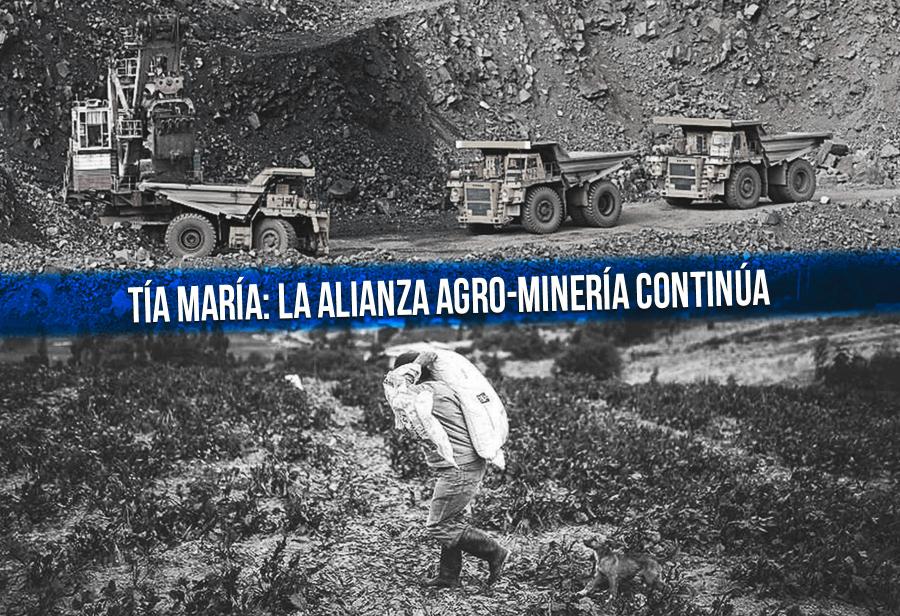 Tía María: la alianza agro-minería continúa