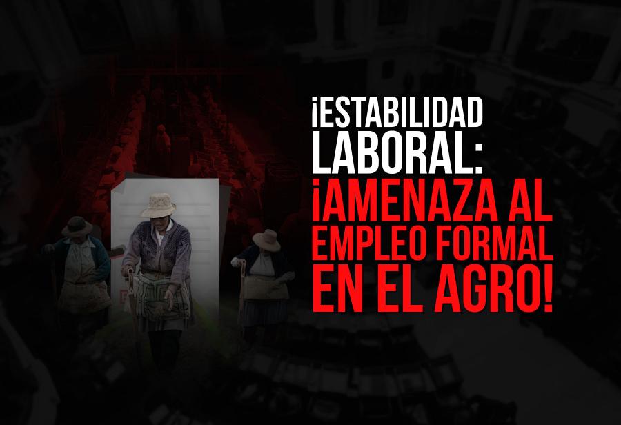 ¡Estabilidad laboral: ¡amenaza al empleo formal en el agro!