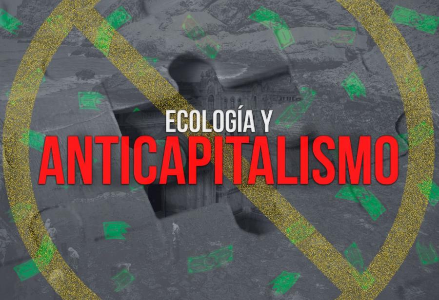 Ecología y anticapitalismo