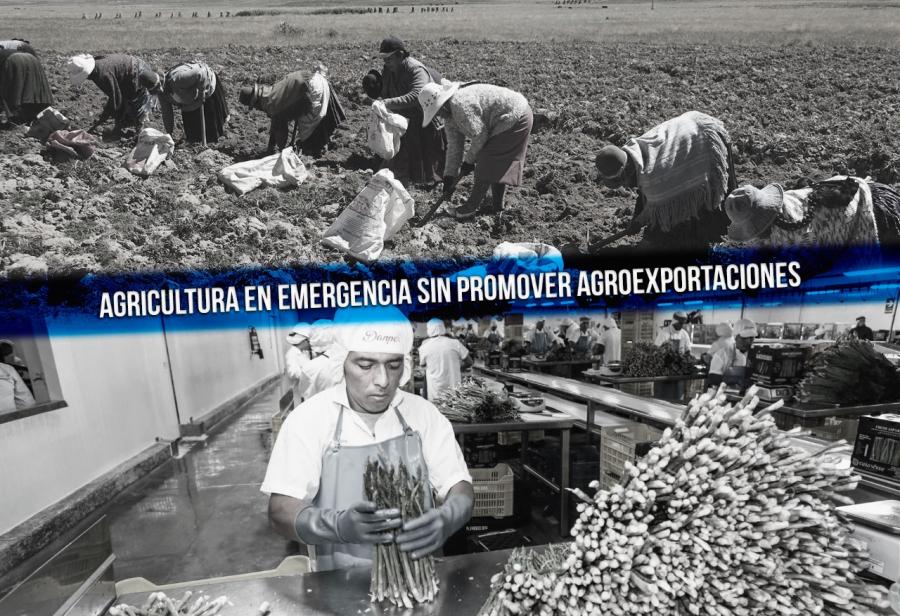 Agricultura en emergencia sin promover agroexportaciones